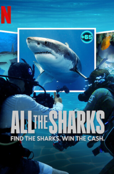 All the Sharks