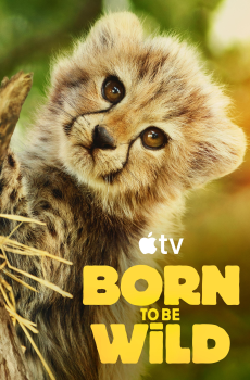 Born to Be Wild